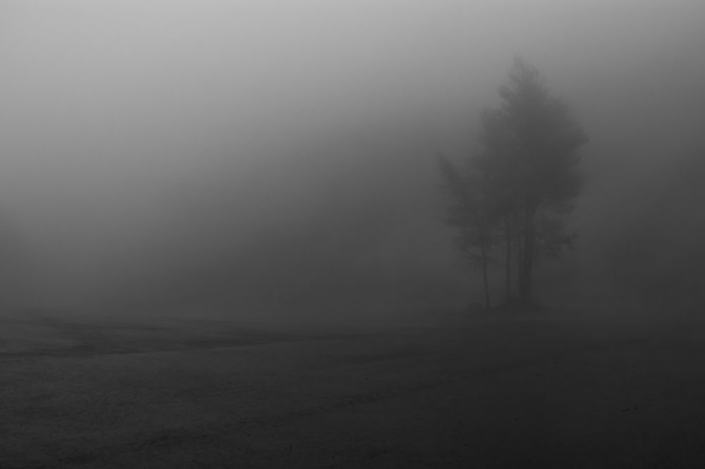 Утро туманное.