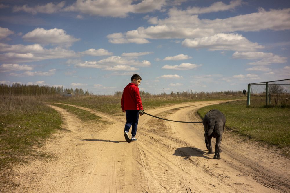 Two children and mastino dog