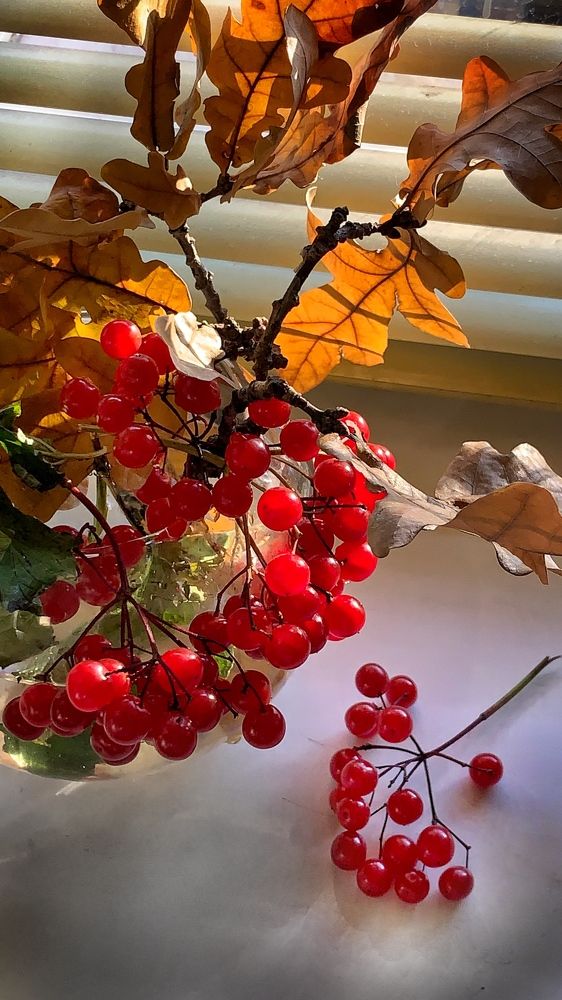 Photograph by Наталя Мартинчик