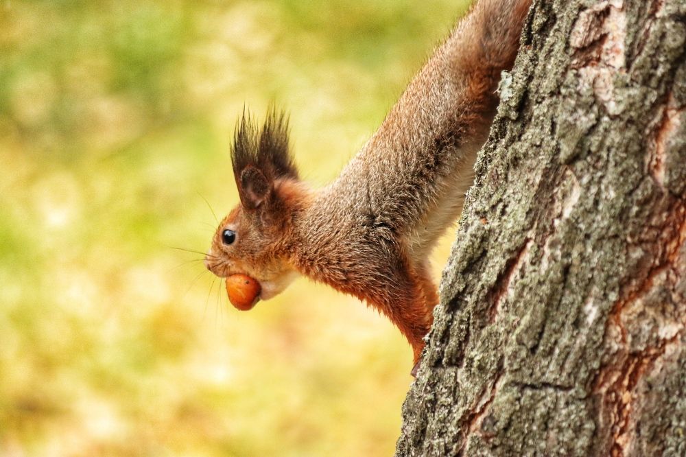 Photograph by Анастасия Бравичева