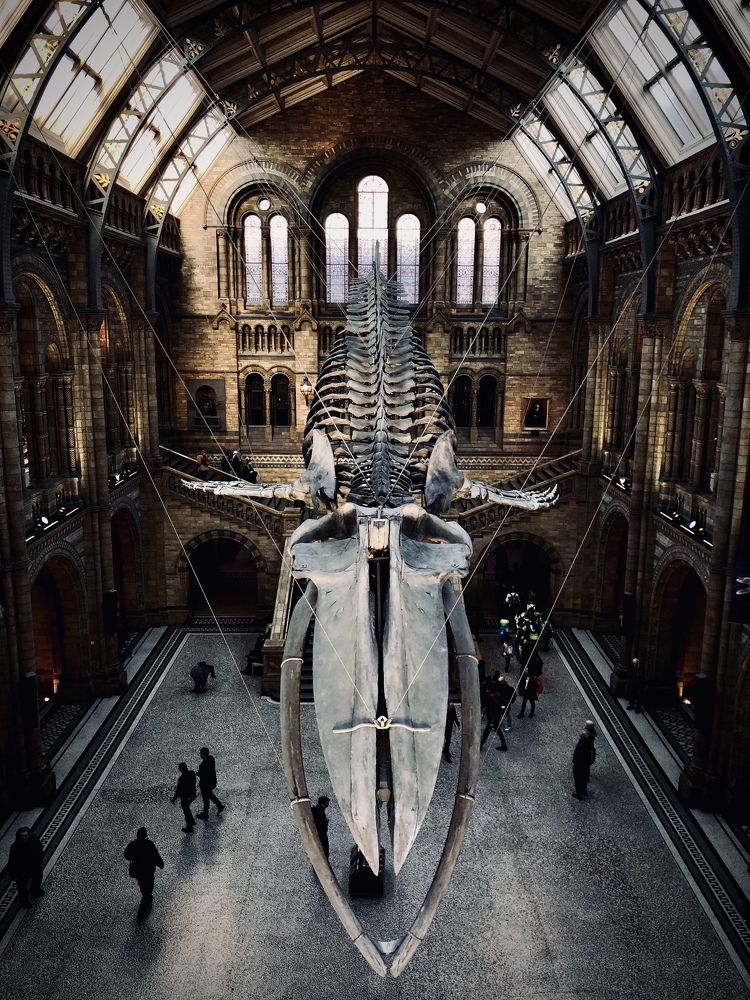 Photograph by Анастасия Бравичева