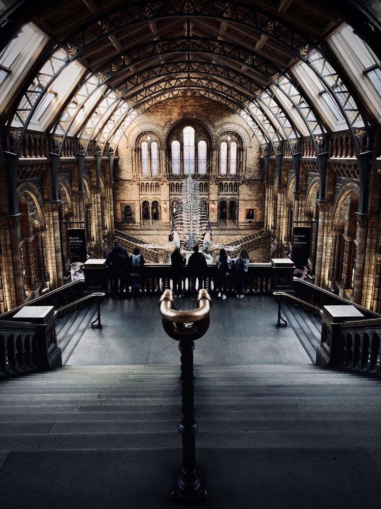 Photograph by Анастасия Бравичева