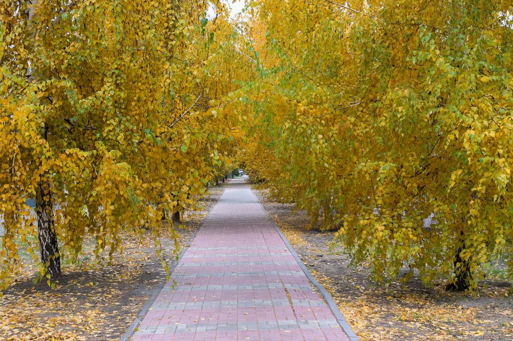 Фотография автора Денис Краснощеков