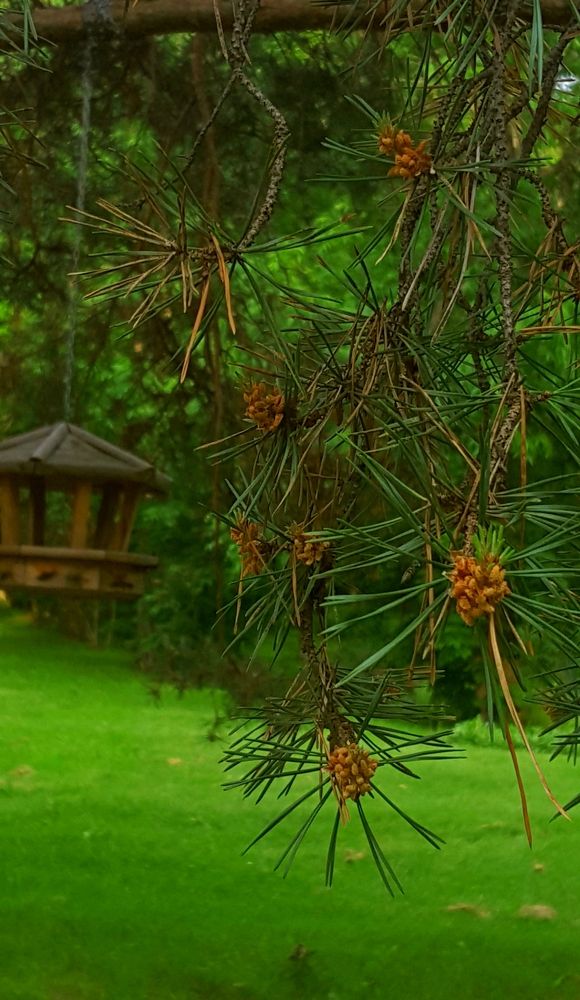 Photograph by Ольга