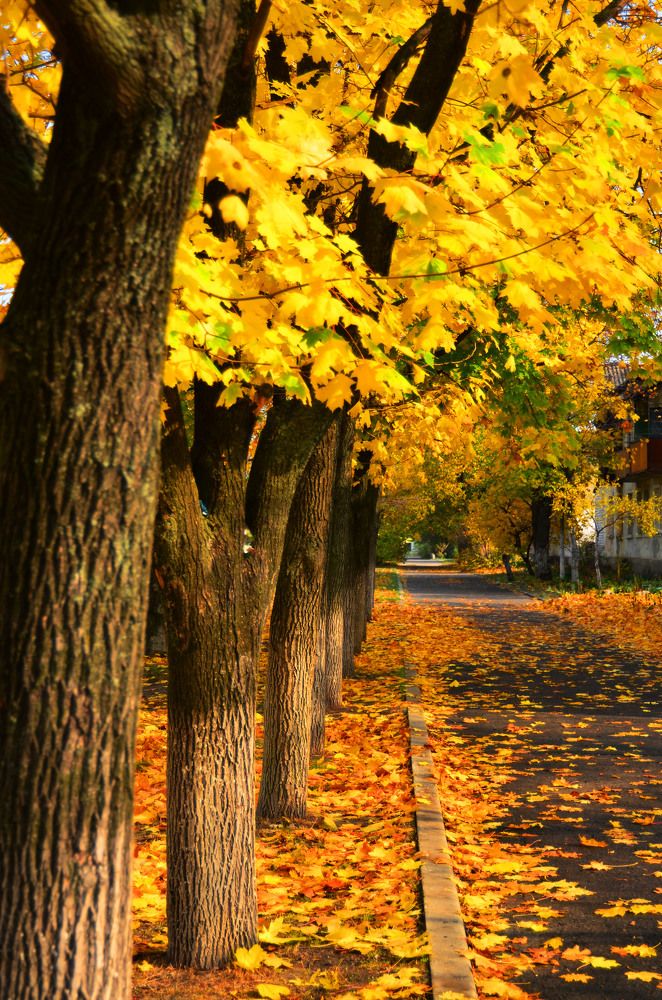 Photograph by Inna Logvinova