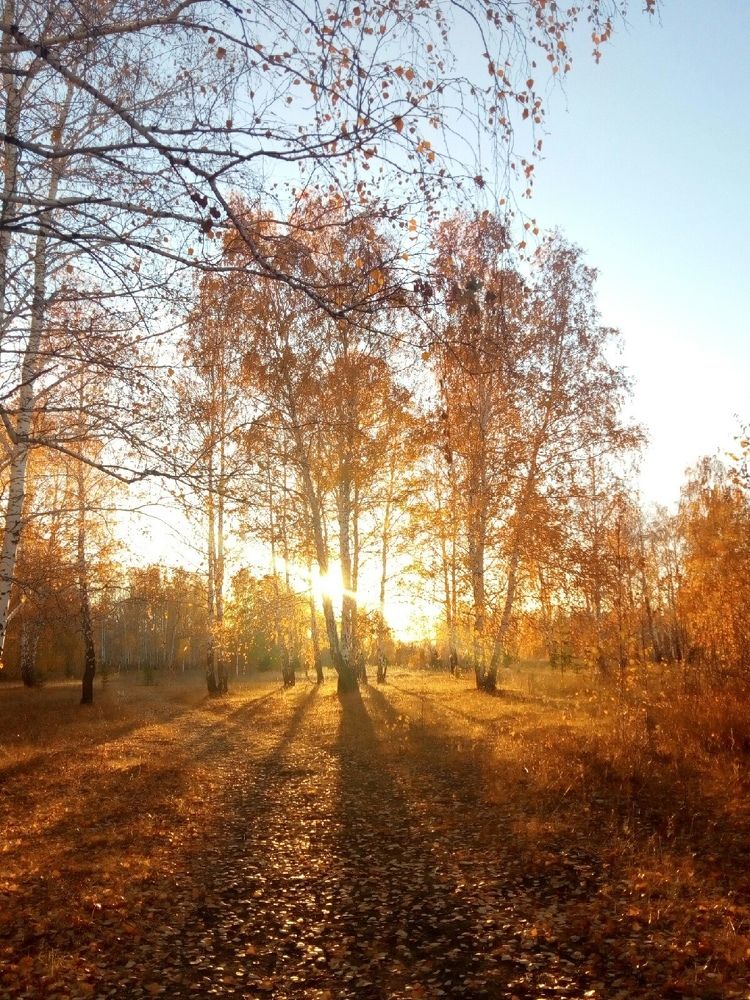 Золотая осень на Урале