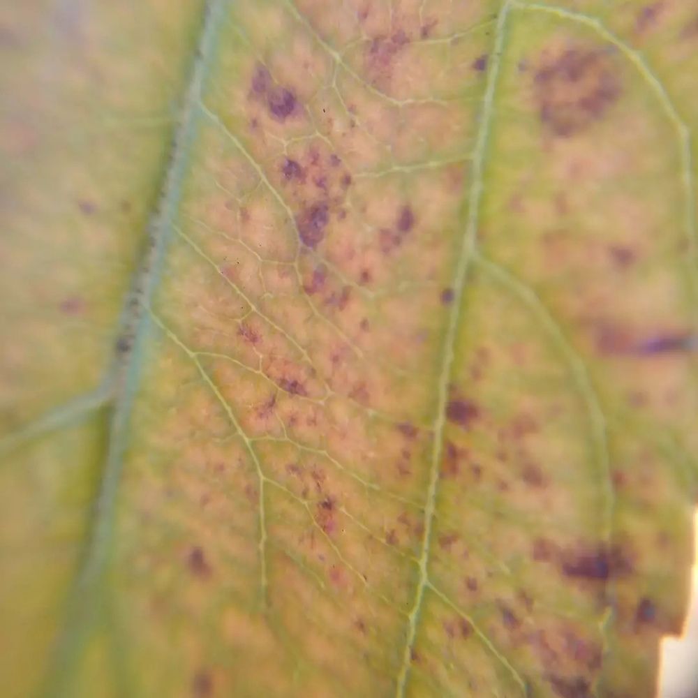 Фотография автора Ольга Малкова