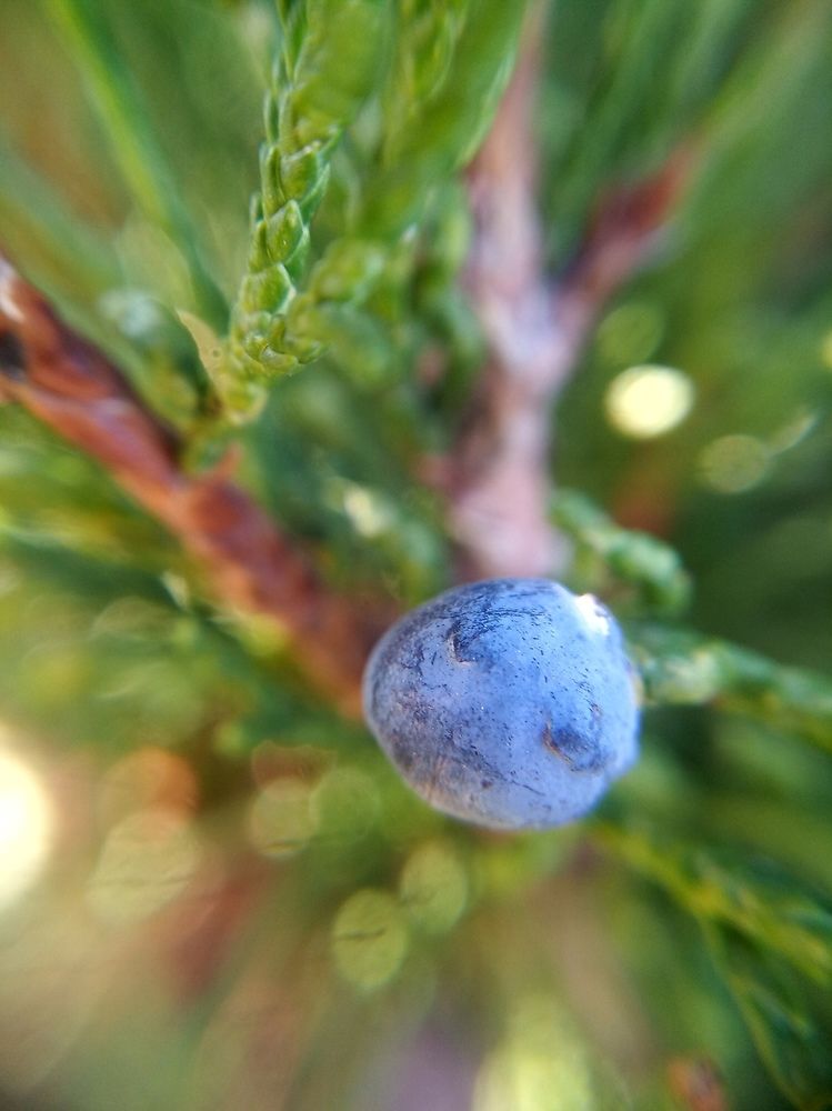 Фотография автора Ольга Малкова