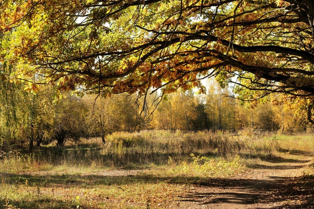 Photograph by Инна Карасева