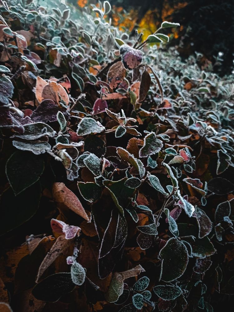 Photograph by Аня