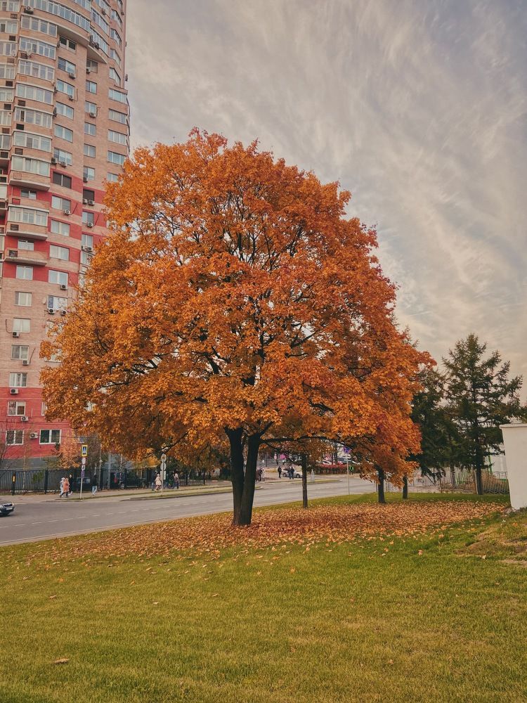 Photograph by Александра Ковалёва