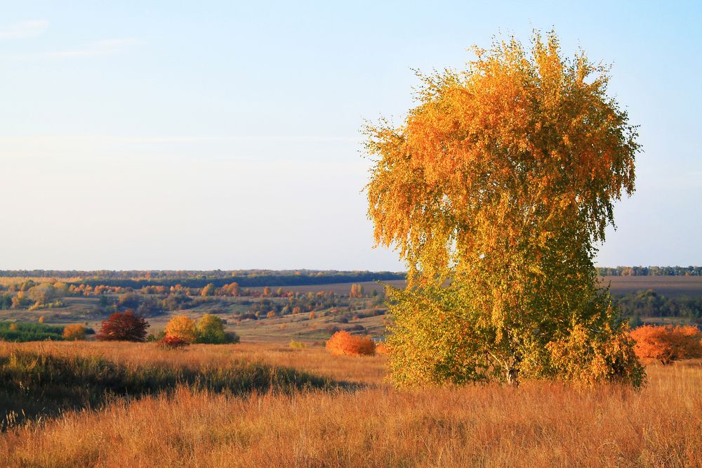 Photograph by Елена Атаманчук