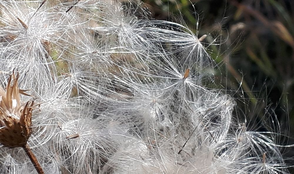 Photograph by Людмила Колеватова