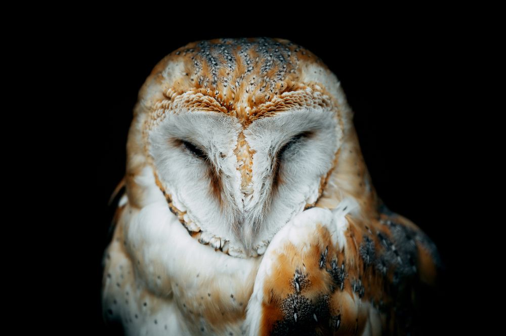 Photograph by Владимир Харук