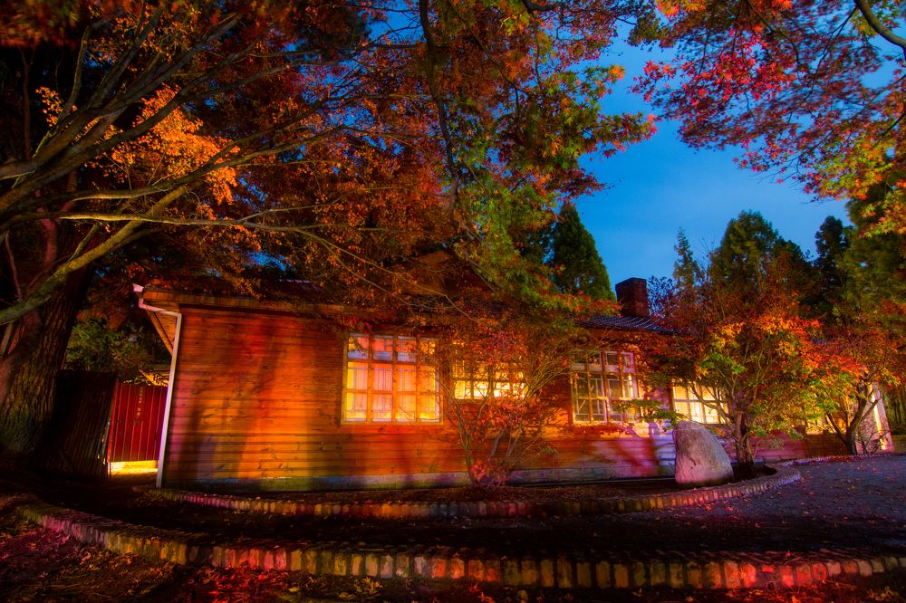 Photograph by Danny lai