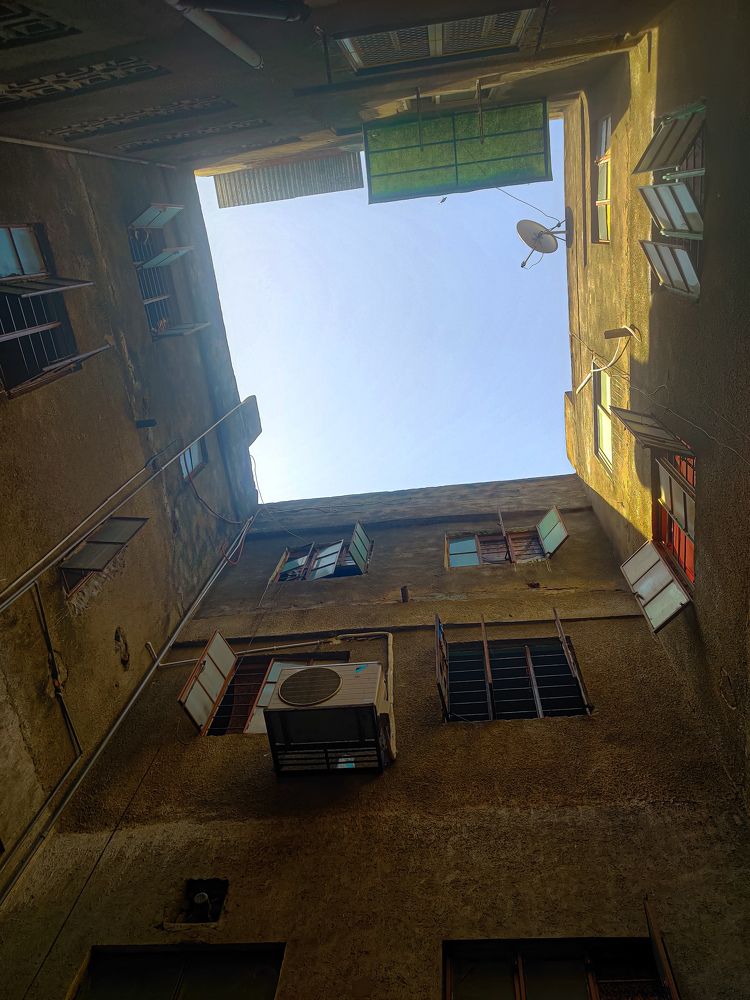 Photo #6582999