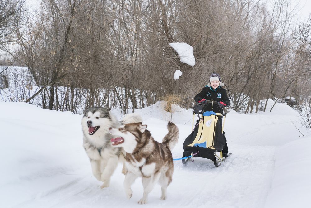 Photograph by Ольга Шибяева