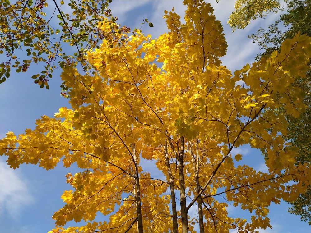 Photograph by Елена Болтенкова