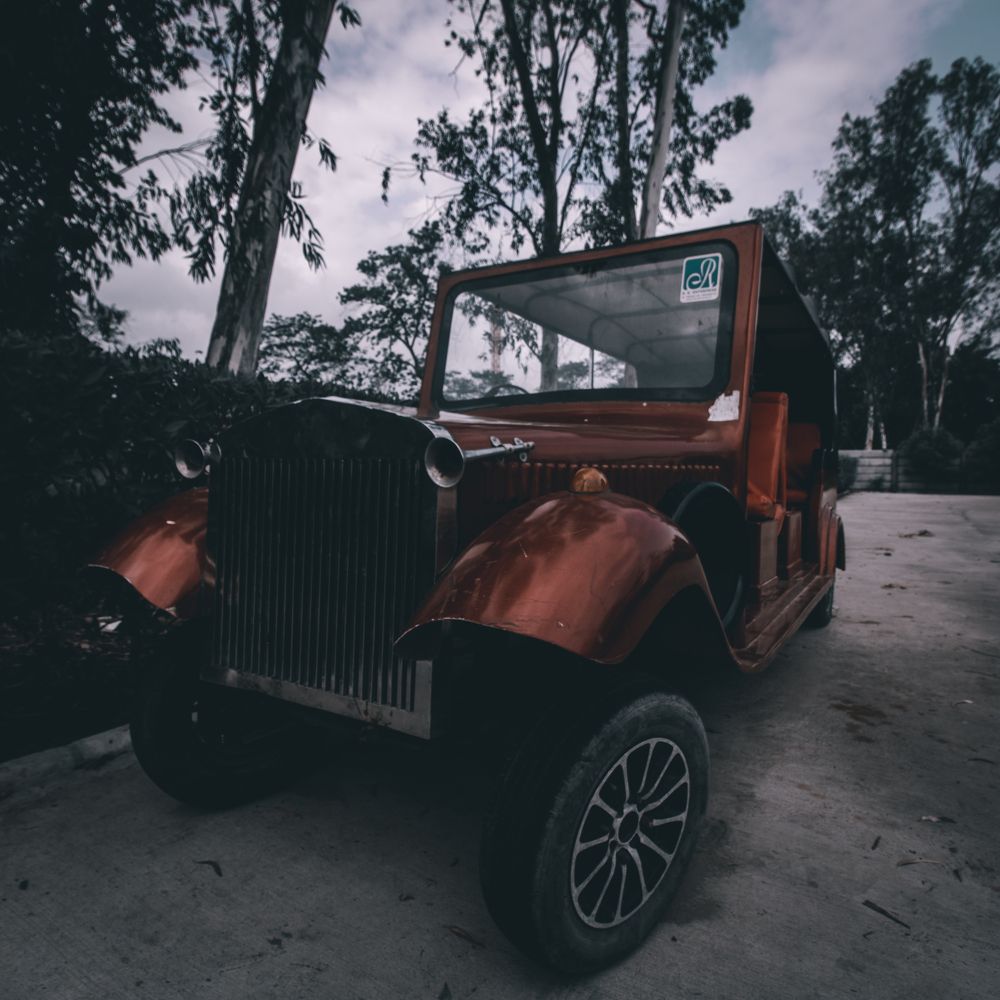 Photograph by Ayush Tripathi