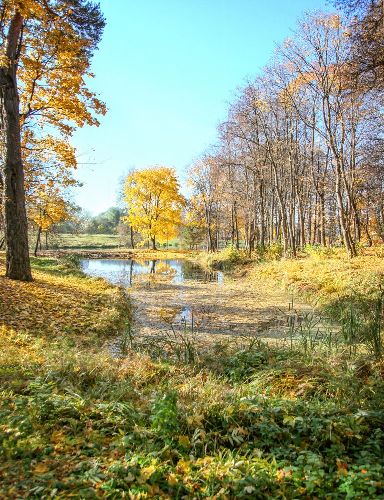 Photograph by Елена Мирончук