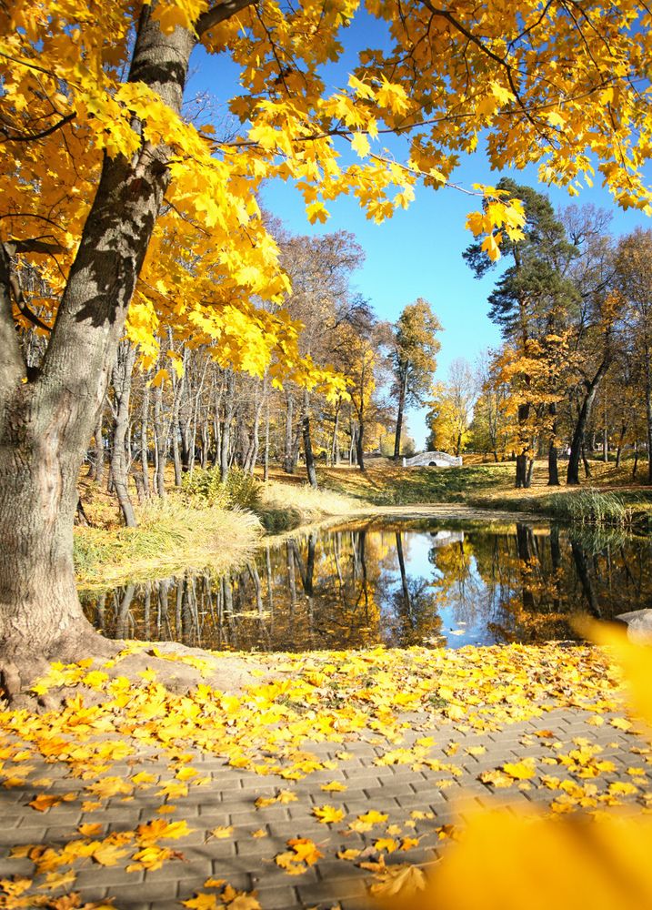 Photograph by Елена Мирончук