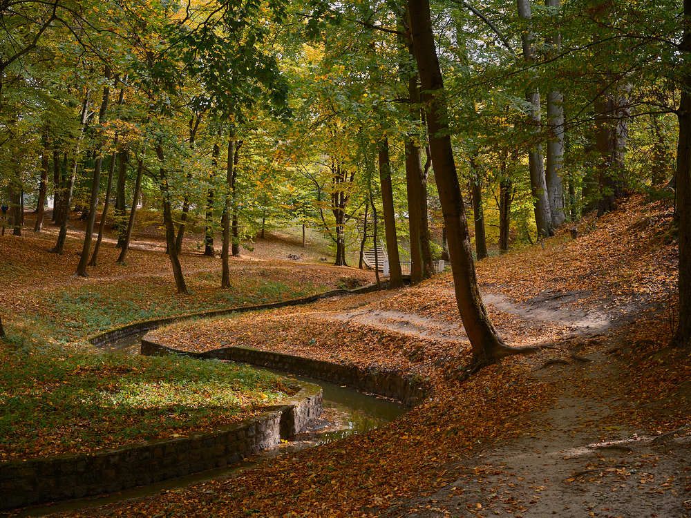 Photograph by Леонид Якутин