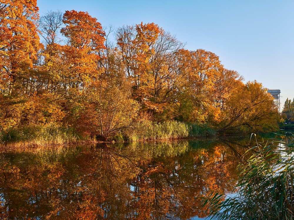 Photograph by Леонид Якутин