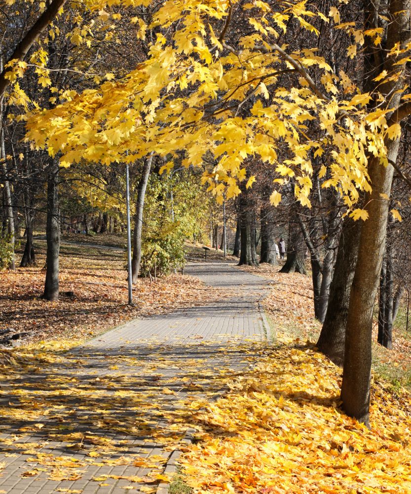 Photograph by Елена Мирончук