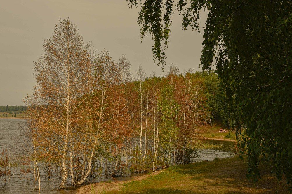 Фотография автора Светлана Волынская