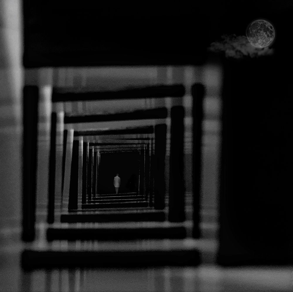 Photograph by mohammad fotouhi