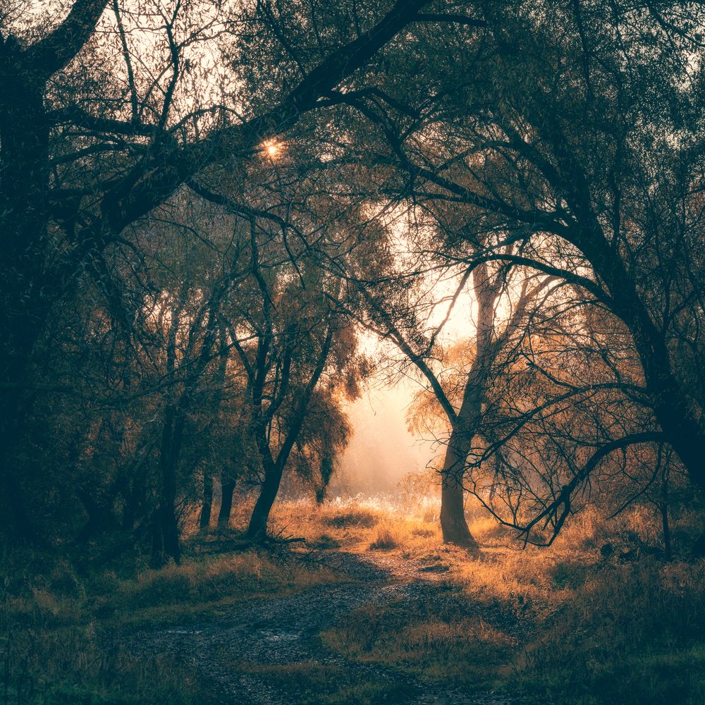 Photograph by z14photo