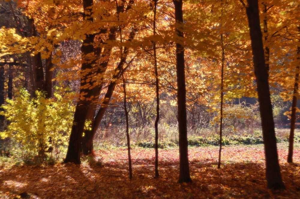 Photograph by Константин Лагоденко