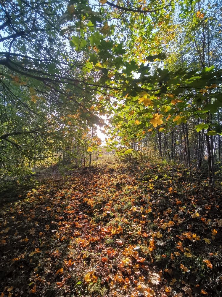 Photograph by Игорь