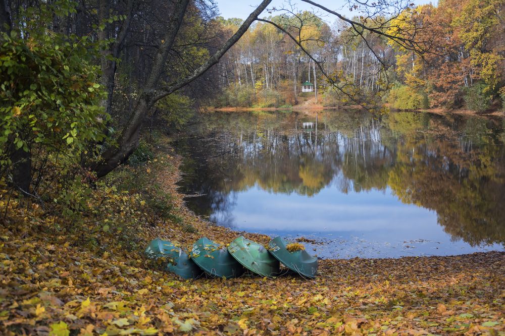 Золотая осень.
