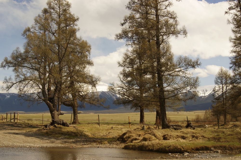 Photograph by Юлия Лазебная