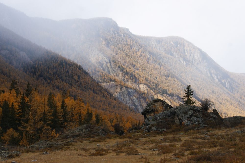 Photograph by Юлия Лазебная