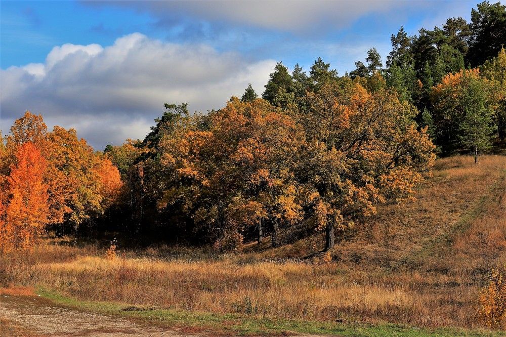 Photograph by Федоренко Элеонора
