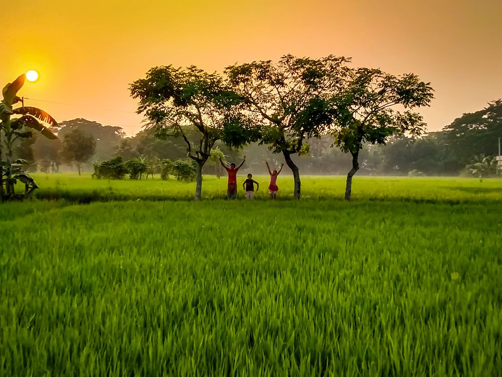 Photograph by shahariar haydar