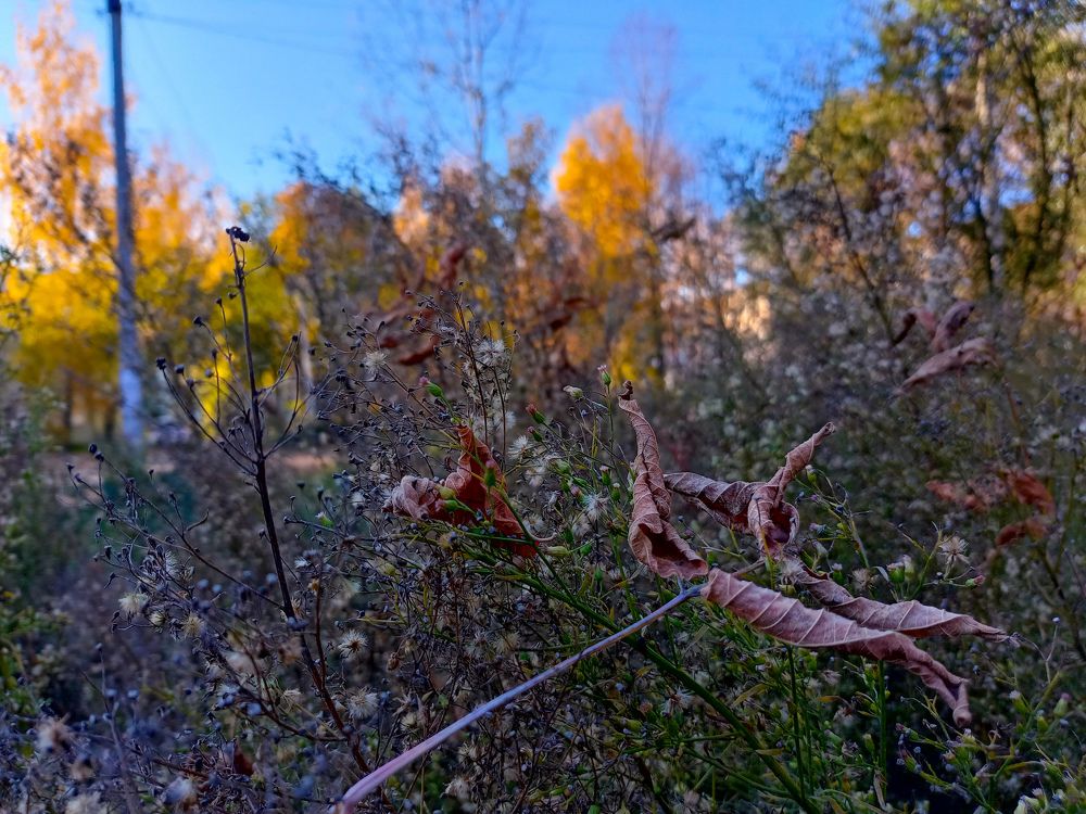 Photo #6583466