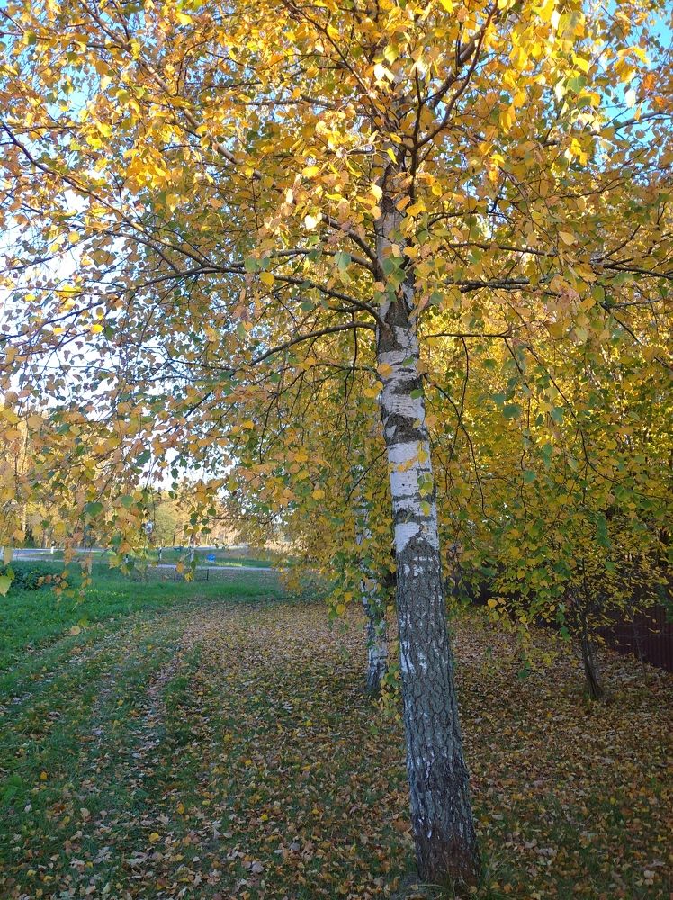 Photograph by Ирина Бельская