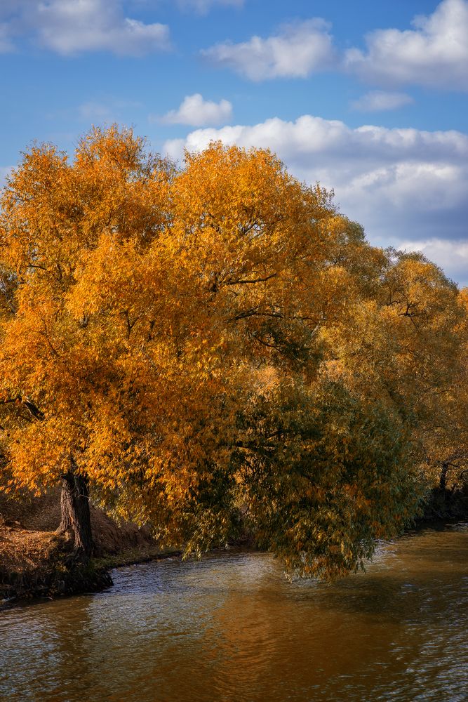 Photograph by Елена Косинова