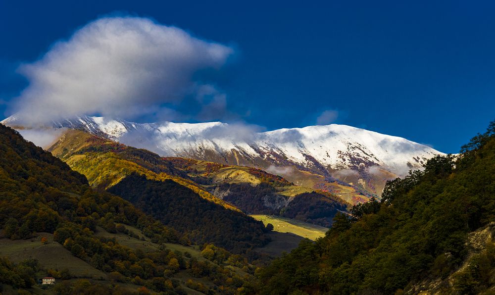 Photograph by Alex Kalpus