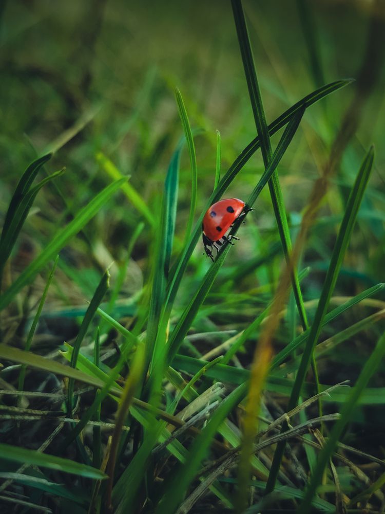 Photograph by Сергей Таранов