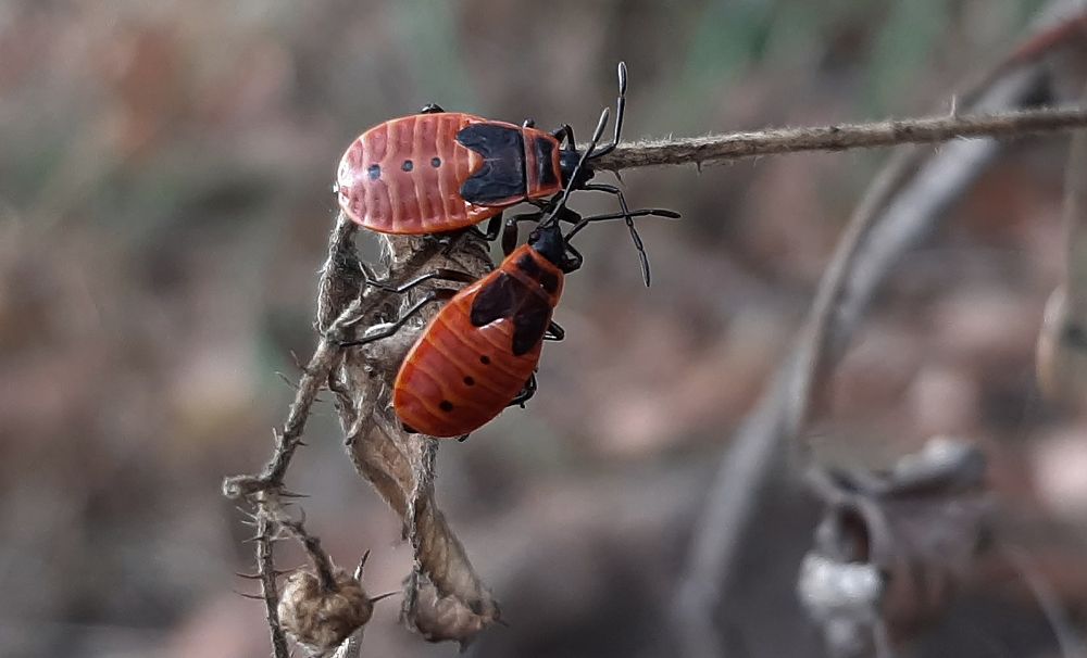 Фотография автора Дмитрий Нефёдов