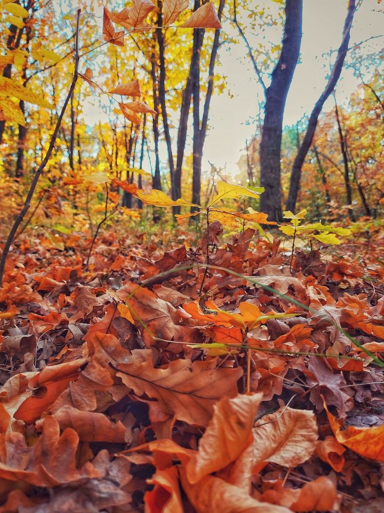 Photograph by Илья Игнашкин