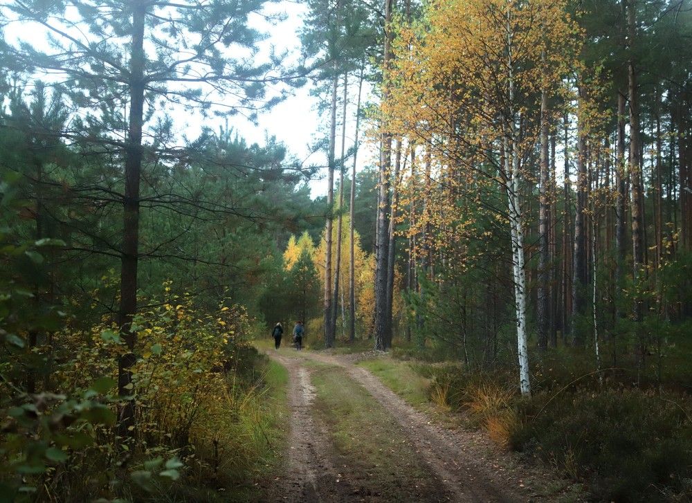 Photograph by Лада Денисова