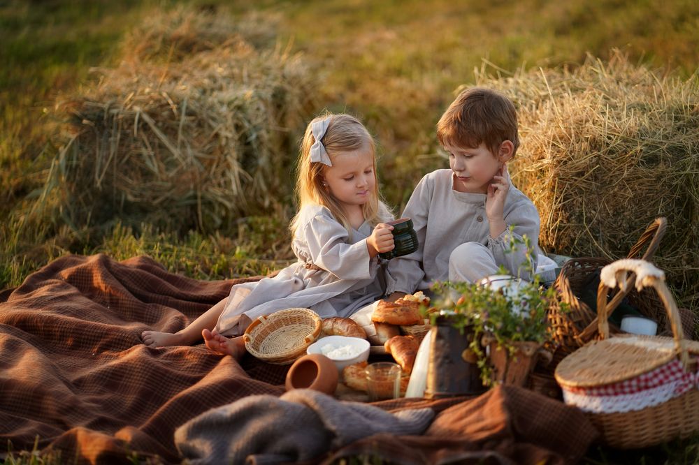 Деревенский пикник