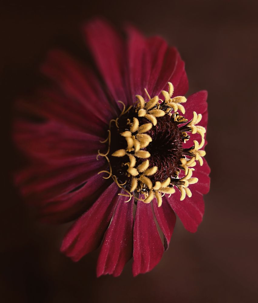 Photograph by Omar Alhussein