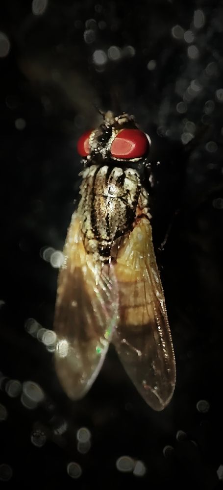 Photograph by Hafiz Zenab