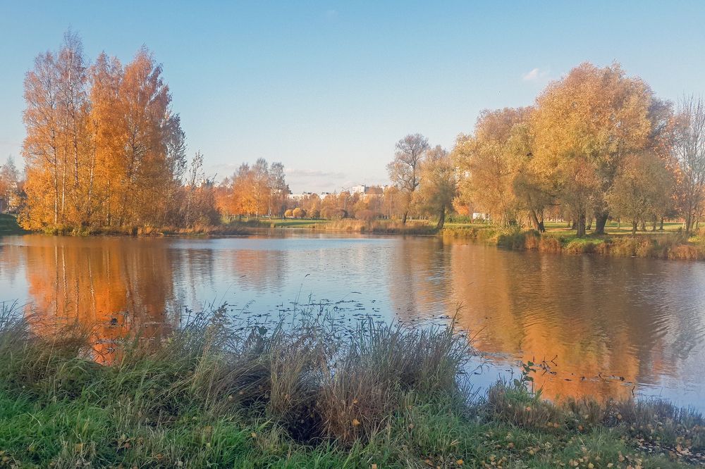 Муринский ручей на закате